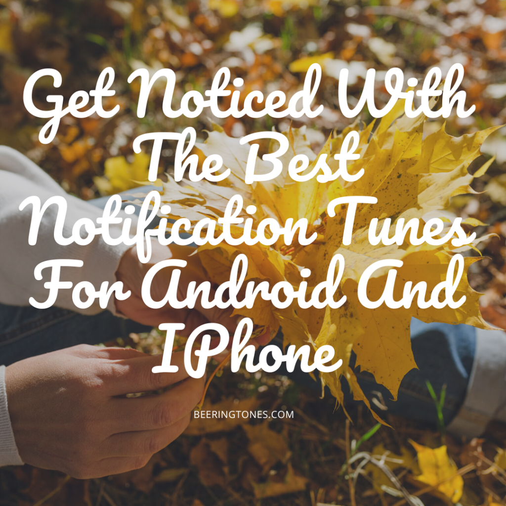 Bee Ringtones - New Ringtone Download - Get Noticed With The Best Notification Tunes For Android And IPhone